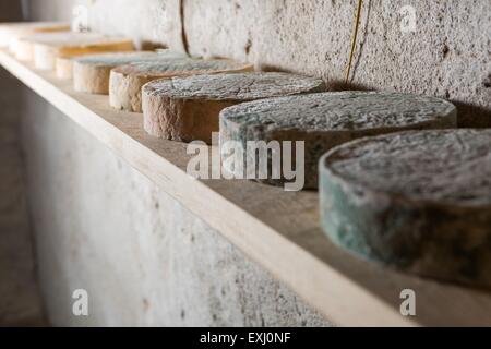 Goat cheese maturing in basement. Studio shoot with mystic light efect. Stock Photo