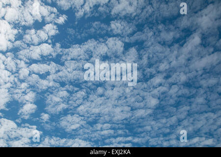 Cloud formation commonly known as a mackerel or buttermilk sky Stock Photo