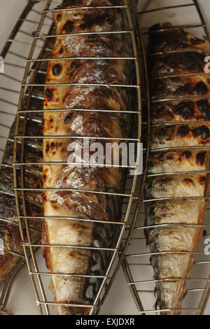 Barbecuing mackerel on charcoal fire closeup image. Stock Photo