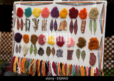 Multi-colored yarns displayed with plant samples from which the color dyes are derived Stock Photo