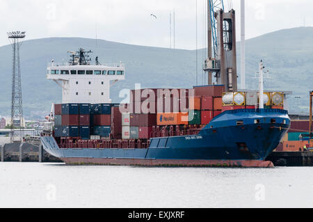 Container freight ship moored in Belfast Stock Photo