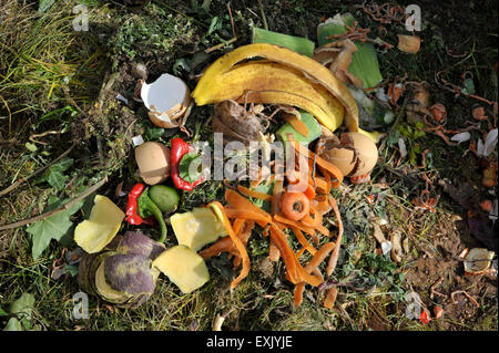 Garden and kitchen waste on a compost heap. Stock Photo