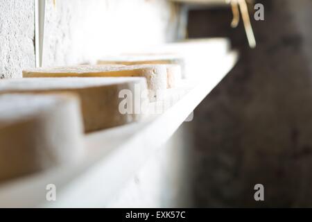 Goat cheese maturing in basement. Studio shoot with mystic light effect. Stock Photo