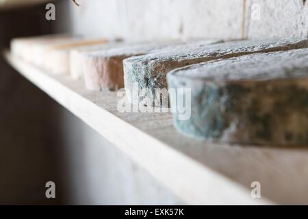 Goat cheese maturing in basement. Studio shoot with mystic light effect. Stock Photo