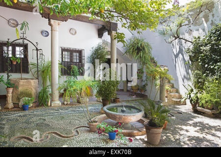 CORDOBA, SPAIN - MAY 26, 2015: The treditonal green yard (pacio) of house Casa de los Luna on the Plaza de San Andres square ere Stock Photo