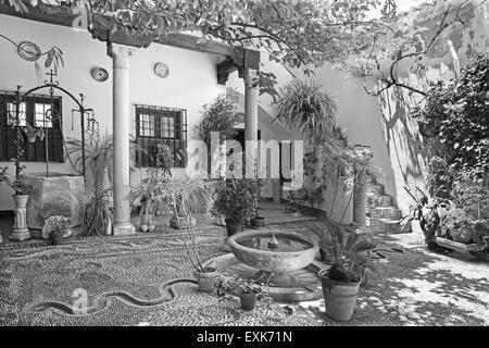 CORDOBA, SPAIN - MAY 26, 2015: The treditonal green yard (pacio) of house Casa de los Luna on the Plaza de San Andres square ere Stock Photo