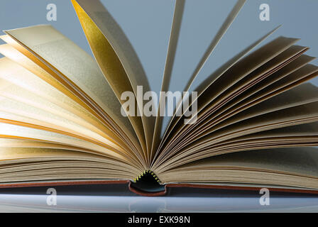 Open book Stock Photo