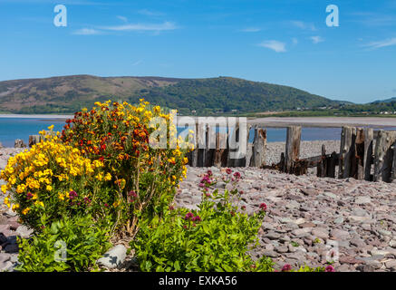 Beach at  Porlock Weir Harbour with Bossington Hill in the Distance. Somerset. England. UK Stock Photo