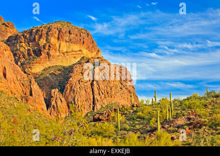 Ajo Range Mountains, Organ Pipe National Monument, Arizona, USA Stock Photo