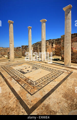 The 'House of Dionysus' in the archaeological site of the 'sacred' island of Delos. Cyclades, Greece. Stock Photo