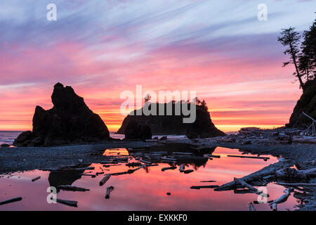 Sunset reflected in a slow moving stream, with sea stacks and driftwood, at Ruby Beach in Olympic National Park, Washington. Stock Photo