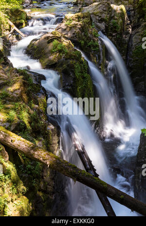 The Sol Duc River splits into 3 cascades at Sol Duc Falls in Olympic National Park, Washington. Stock Photo