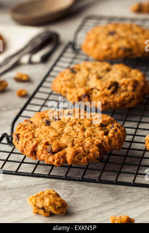 Homemade Oatmeal Raisin Cookies Ready to Eat Stock Photo