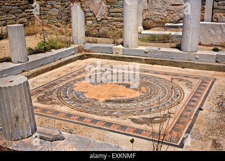 Impressive mosaics in the 'House of the Dolphins' in the archaeological site of the 'sacred' island of Delos. Cyclades, Greece. Stock Photo