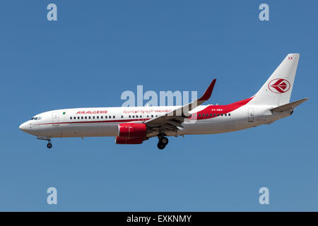 Boeing 737-800 airplane of the Air Algerie airline landing at the international airport in Frankfurt. July 10, 2015 in Frankfurt Stock Photo