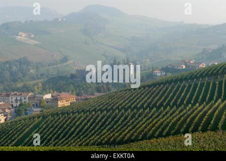 Italy, Piedmont, Langhe hills, vineyards panorama Stock Photo
