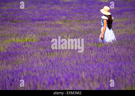 Painterly effect of young woman in the lavender fields on an Open Day at Lordington Lavender Farm, Lordington, West Sussex UK in July Stock Photo