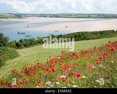 Wild flowers and poppies growing in a field overlooking the River Camel Estuary near Padstow Cornwall UK Stock Photo