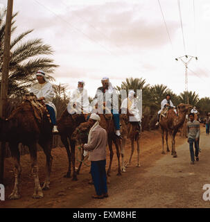 Ein Kamelritt durch die Oase Nefta, Tunesien 1970er Jahre. A camel ride through the oasis of Nefta, Tunisia 1970s. Stock Photo