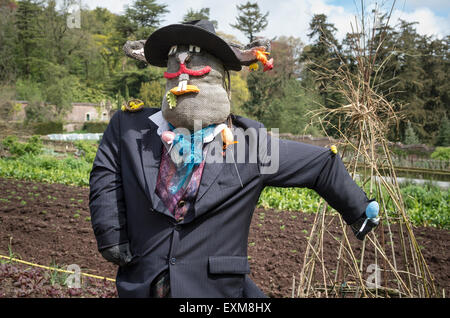 A scarecrow in the vegetable garden in Devon UK Stock Photo