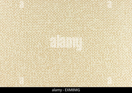texture on paper background in white and brown dots Stock Photo