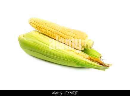 fresh peeled corn on white background Stock Photo