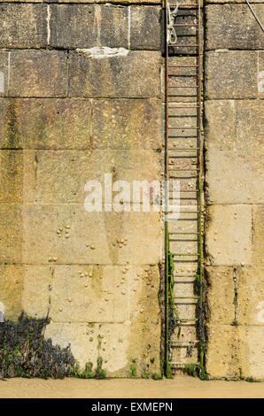 Al ladder at Smeatons Pier, St Ives, Cornwall, England, UK at low tide. Stock Photo