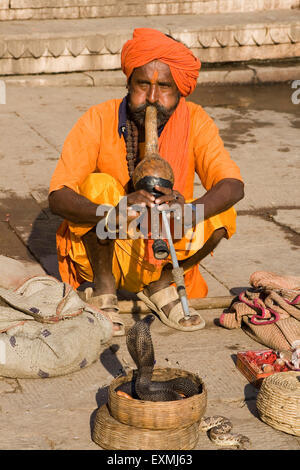 Snake charmer or snake gourd playing pungi for snake to pleased pilgrims in Varanasi on Ganga river ; Uttar Pradesh ; India Stock Photo