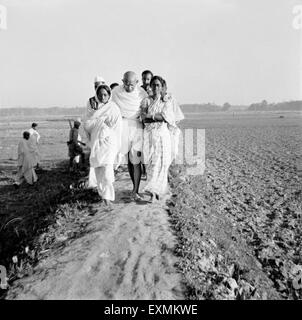 Mahatma Gandhi supported Amtus Salam Abha Gandhi walking Sachin Mitra through fields riot effected Noakhali East Bengal Stock Photo