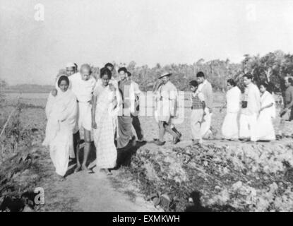 Mahatma Gandhi ; supported by Amtus Salam ; walking with others through fields riot effected Noakhali East Bengal Stock Photo