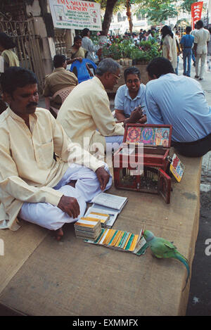 bird parrot fortune teller street astrologer with cards bombay mumbai maharashtra india asia Stock Photo