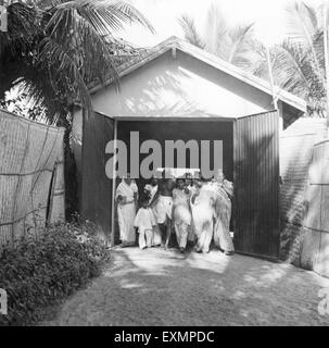 Mahatma Gandhi ; Abha Gandhi ; Sushila Nayar and others walking through a gate in Madras ; 1946 ; India NO MR Stock Photo