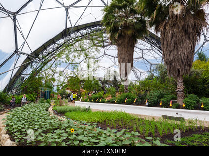 The Mediterranean Biome at the Eden Project, Bodelva, near St Austell, Cornwall, England, UK Stock Photo