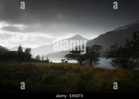 The shore of Llyn Gwynant. Snowdonia National Park. Gwynedd. Wales. UK. Stock Photo