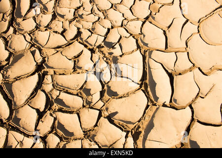 Dry cracked earth background, clay desert texture Stock Photo