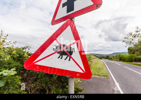 Newtownabbey, Northern Ireland. 15 Jul 2015 - Protest signs start to appear in Newtownabbey, Northern Ireland where proposals are currently in place for the UK's largest pig farm, housing a potential 30,000 pigs. Credit:  Stephen Barnes/Alamy News Stock Photo