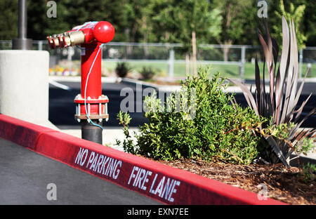 'No Parking Fire Lane' sign on the parking lot, with a fire hydrant on the background. Stock Photo