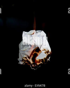 white crumpled  paper burning on black background Stock Photo