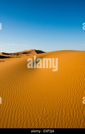 Sand dunes in morning light, Merzouga, Meknès-Tafilalet Region, Morocco Stock Photo