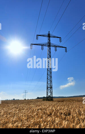 High voltage power line, power pole in a cornfield against a blue sky, North Rhine-Westphalia, Germany Stock Photo