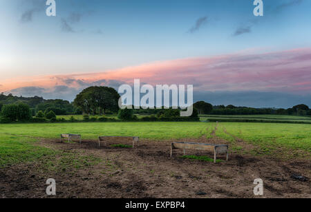 Dusk in the English countryside looking out over a farmers field to a stand of beech trees Stock Photo