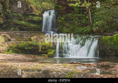 Sgwd Ddwli Isaf (Lower Gushing Falls) on River Nedd Fechan, between Pont Melin-fach and Pontneddfechan, Brecon Beacons National Park, Powys, S Wales Stock Photo