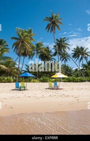 Praia do Forte, Bahia State, Brazil. Palm trees, two sunshades, four deck chairs, beach. Stock Photo