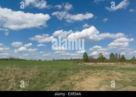 beautiful rural landscape with green vegetation and the bright sky ...