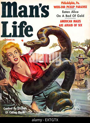 1950s UK Country Life Magazine Cover Stock Photo - Alamy