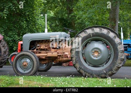 1950's Grey Gold Belly Ferguson 35 Vintage Farm Tractor Stock Photo