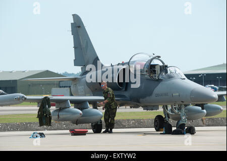 Czech Air Force L-159 ALCA with ground crew Stock Photo