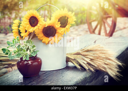 Sunflowers in bucket, ears of wheat and pot with plant on table. Rustic still life. Stock Photo