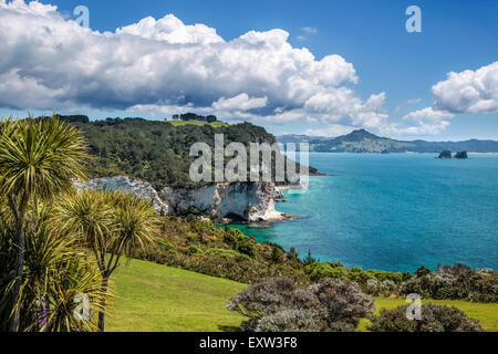 Coast line near Hahei, Coromandel Peninsula, New Zealand Stock Photo