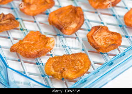 Dehydrator tray of homemade dried apricots, ready to be eaten. Stock Photo